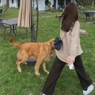 风流奇男子
